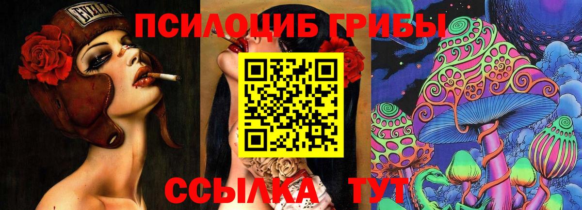 Галлюциногенные грибы Psilocybine cubensis  закладка  Лянтор  Вход с VPN 